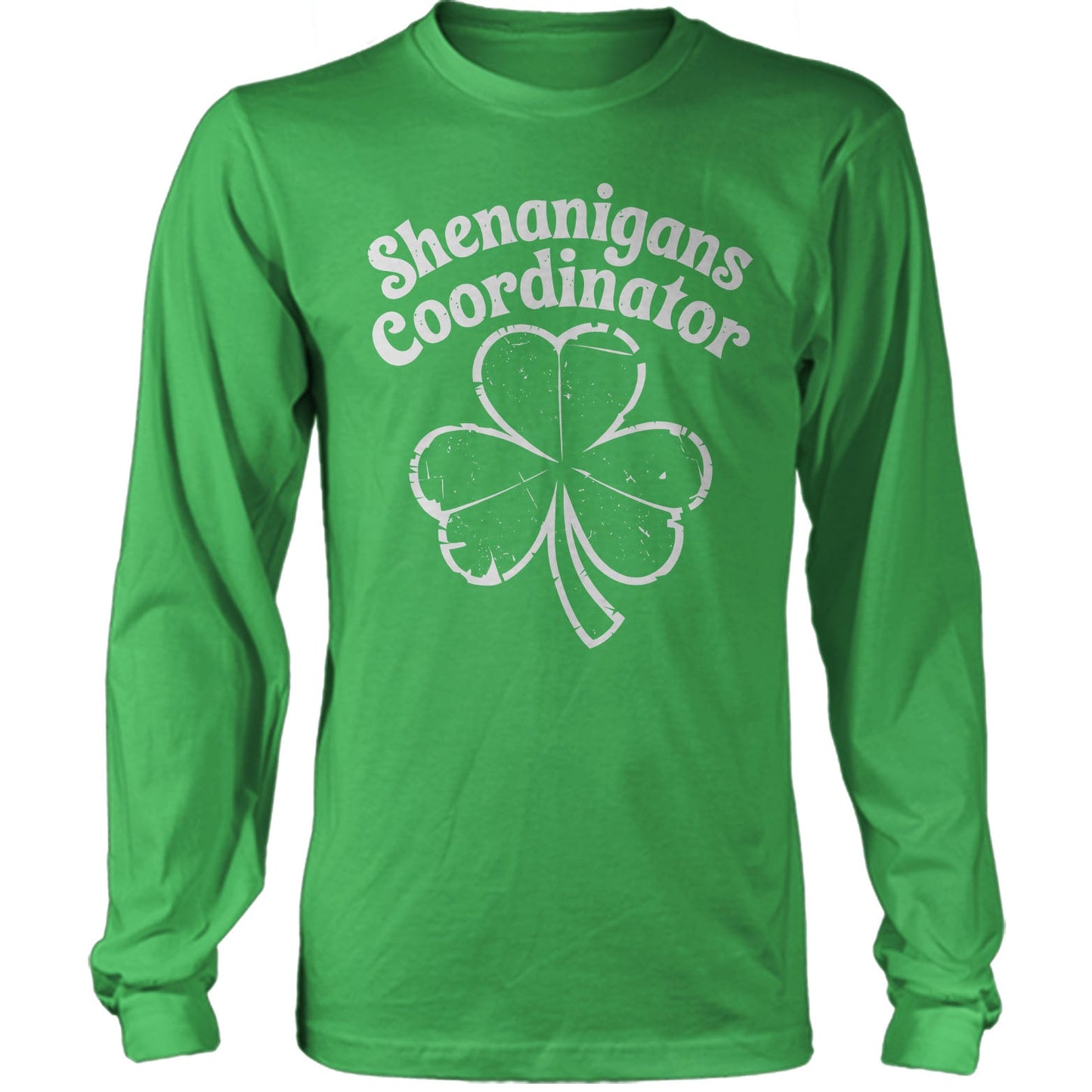 St. Patrick's Day Shenanigans Coordinator 2